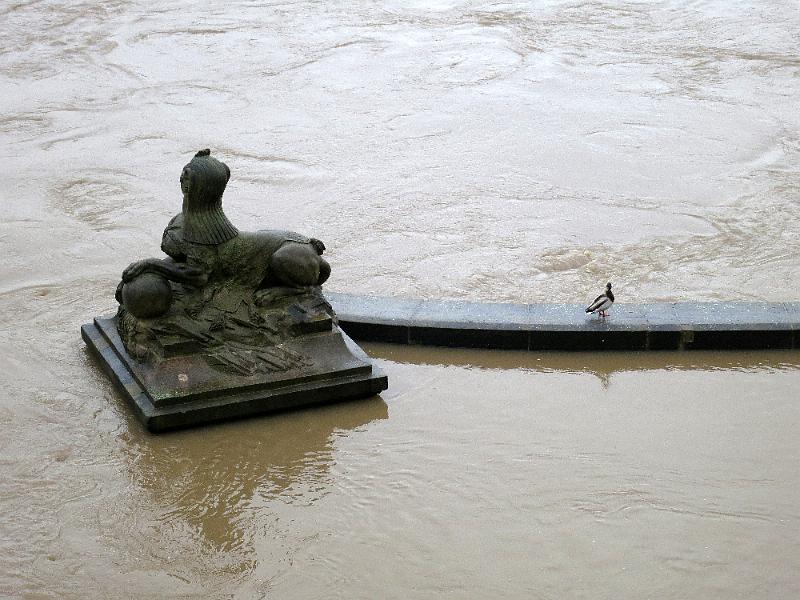 Hochwasser (63).JPG